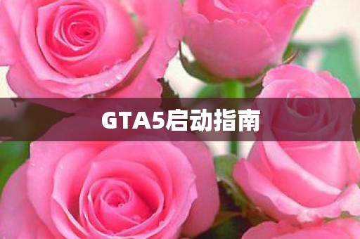 GTA5启动指南图片