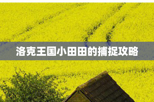 洛克王国小田田的捕捉攻略图片