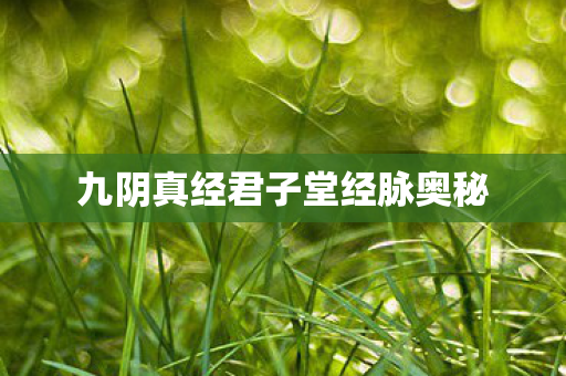 九阴真经君子堂经脉奥秘图片