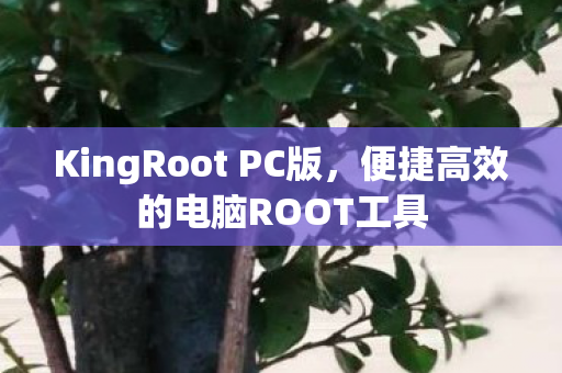 便捷高效的电脑ROOT工具图片