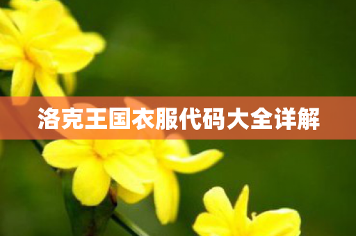 洛克王国衣服代码大全详解图片