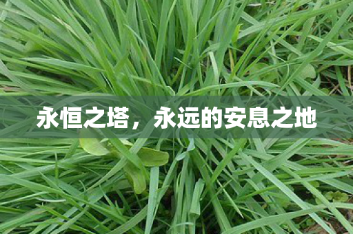 永远的安息之地图片