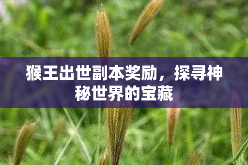 探寻神秘世界的宝藏图片