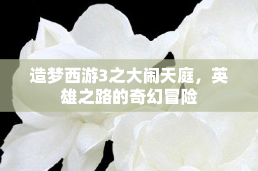 造梦西游3之大闹天庭图片