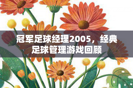冠军足球经理2005图片