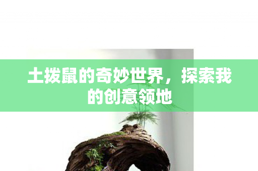 土拨鼠的奇妙世界图片