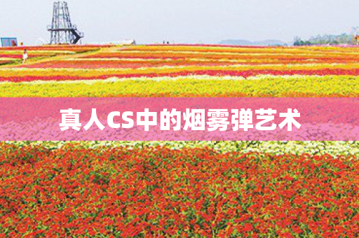 真人CS中的烟雾弹艺术图片