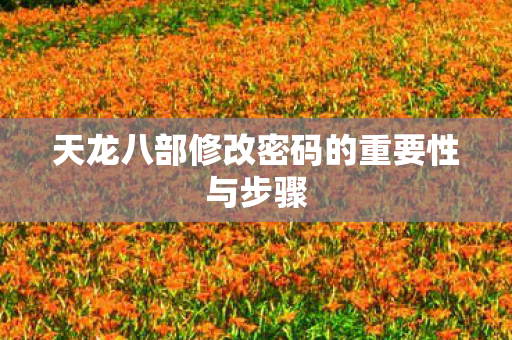 天龙八部修改密码的重要性与步骤图片