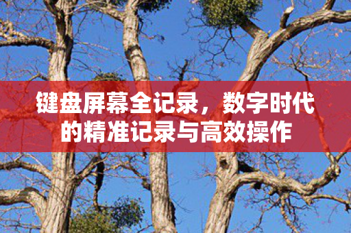 数字时代的精准记录与高效操作图片