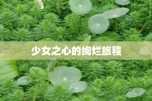 少女之心的绚烂旅程图片