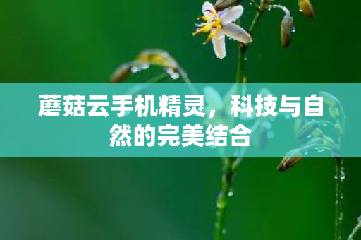 科技与自然的完美结合图片
