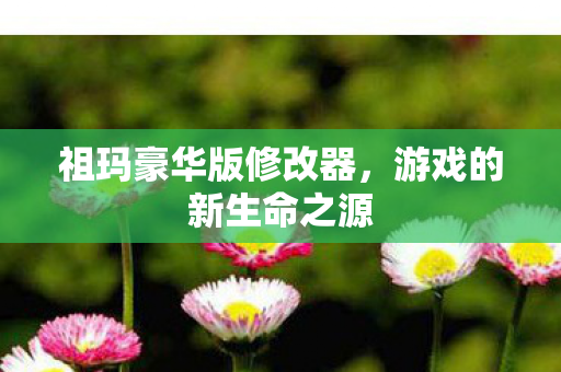 祖玛豪华版修改器图片