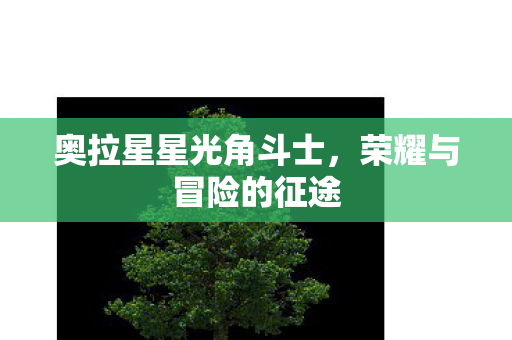 奥拉星星光角斗士图片