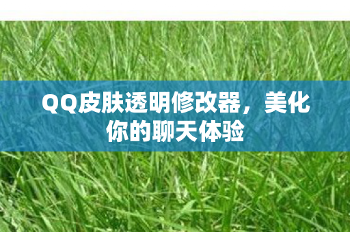 QQ皮肤透明修改器图片