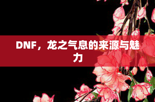 龙之气息的来源与魅力图片