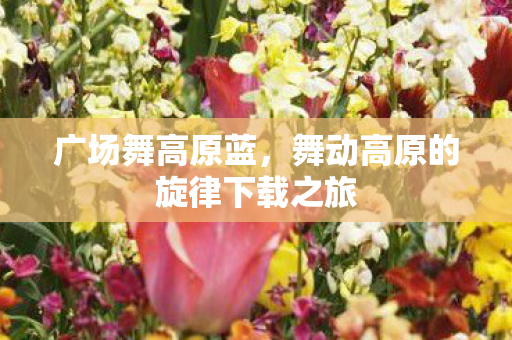 舞动高原的旋律下载之旅图片