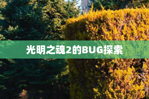 光明之魂2的BUG探索图片