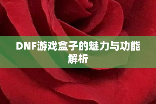 DNF游戏盒子的魅力与功能解析图片