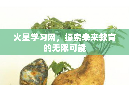 探索未来教育的无限可能图片