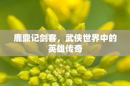 武侠世界中的英雄传奇图片