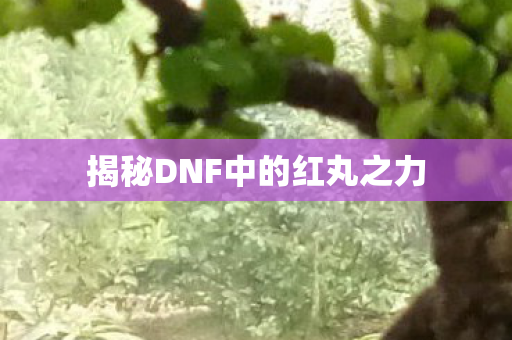 揭秘DNF中的红丸之力图片