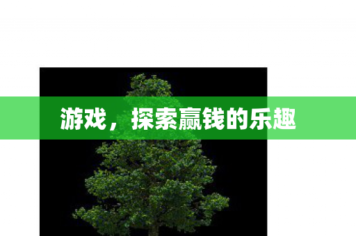 探索赢钱的乐趣图片