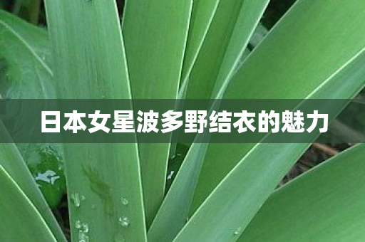 日本女星波多野结衣的魅力图片