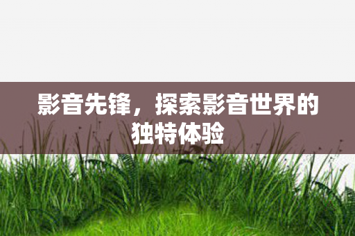 探索影音世界的独特体验图片