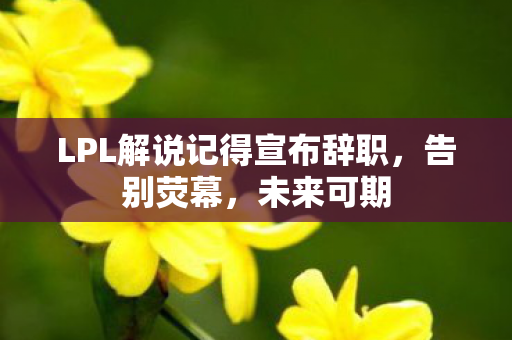 LPL解说记得宣布辞职图片