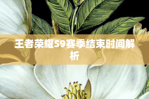 王者荣耀S9赛季结束时间解析图片
