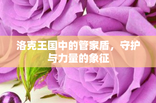 洛克王国中的管家盾图片