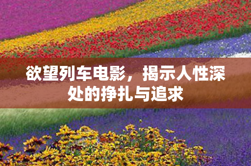 揭示人性深处的挣扎与追求图片