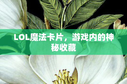 游戏内的神秘收藏图片
