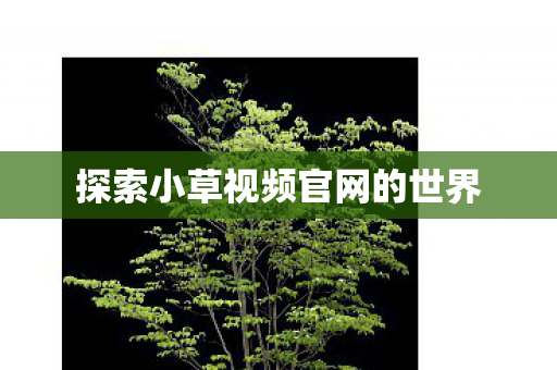 探索小草视频官网的世界图片