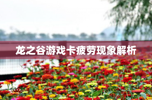 龙之谷游戏卡疲劳现象解析图片