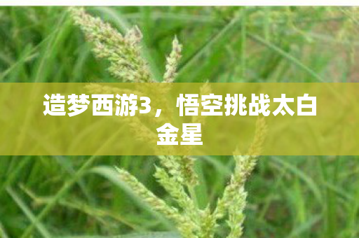 悟空挑战太白金星图片