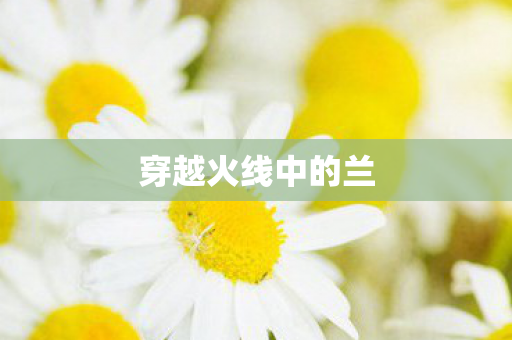 穿越火线中的兰图片