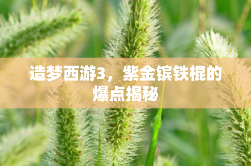 紫金镔铁棍的爆点揭秘图片