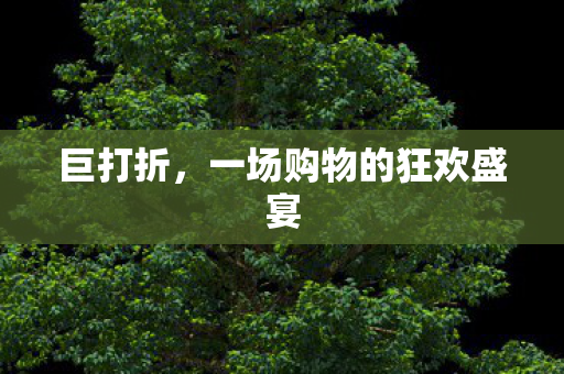 一场购物的狂欢盛宴图片