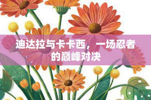 一场忍者的巅峰对决图片