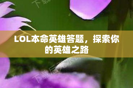 LOL本命英雄答题图片