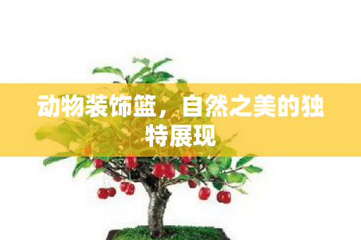 自然之美的独特展现图片