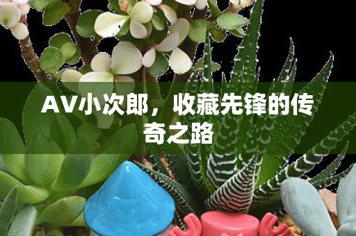收藏先锋的传奇之路图片