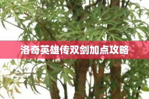 洛奇英雄传双剑加点攻略图片