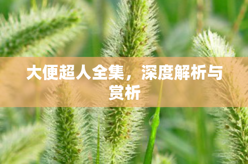 深度解析与赏析图片