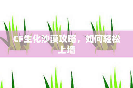 CF生化沙漠攻略图片
