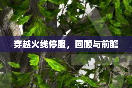 穿越火线停服图片