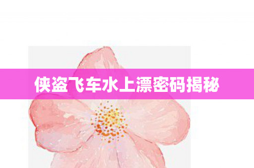 侠盗飞车水上漂密码揭秘图片