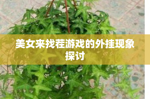 美女来找茬游戏的外挂现象探讨图片