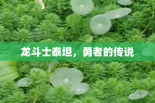龙斗士泰坦图片
